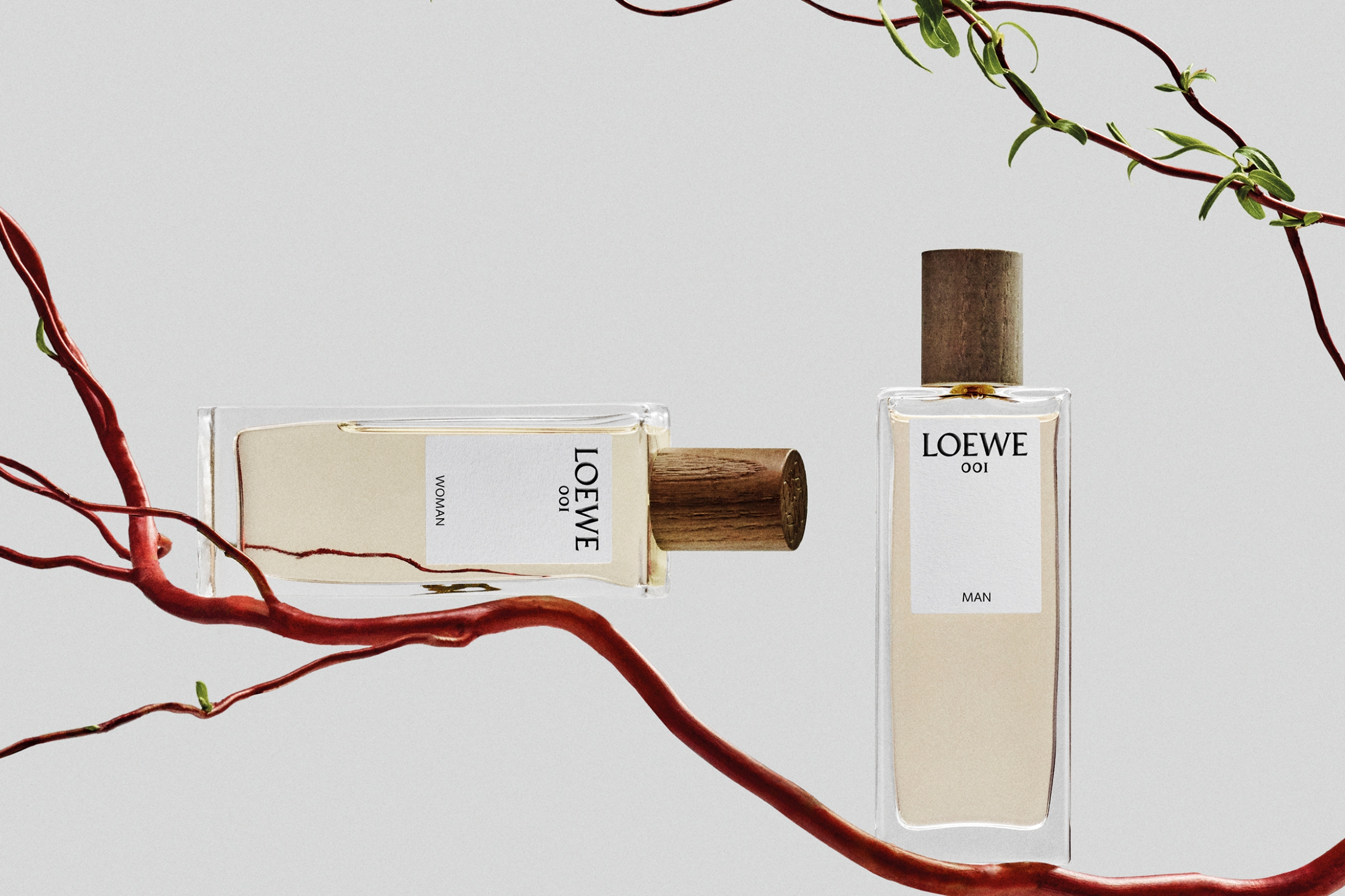 LOEWE PERFUMES